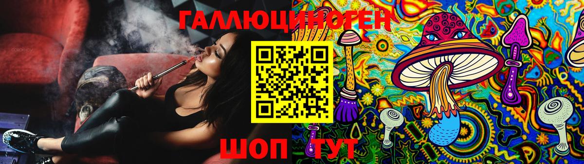 Псилоцибиновые грибы Cubensis Пугачёв