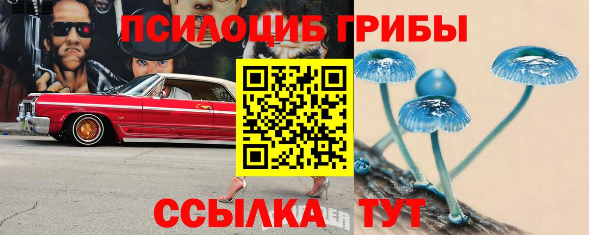 Псилоцибиновые грибы мицелий  Псилоцибиновые грибы MAGIC MUSHROOMS  Пугачёв  Вход с VPN 